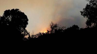 raging-forest-fires-in-chile-kill-at-least-99