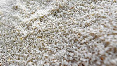 president-jokowi-ensures-sufficient-stocks-of-rice-for-ramadan