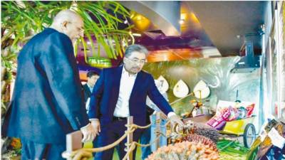 mpob-develops-714-technologies-for-oil-palm-industry,-33%-commercialised
