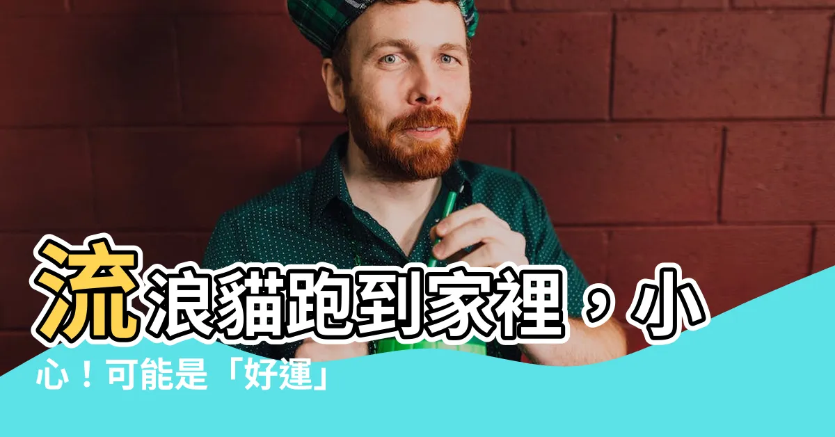 【流浪貓跑來家裡】流浪貓跑到家裡，小心！可能是「好運」的前兆！