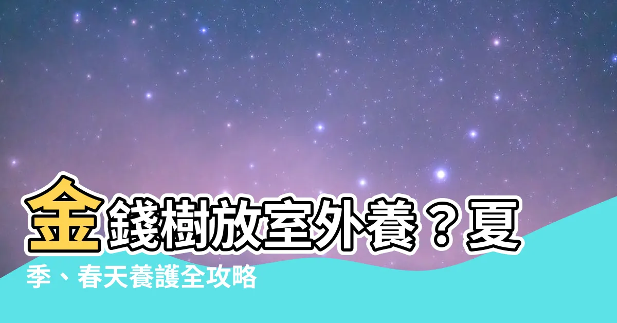 【金錢樹可以放室外嗎】金錢樹放室外養？夏季、春天養護全攻略，打造發財招財植物！