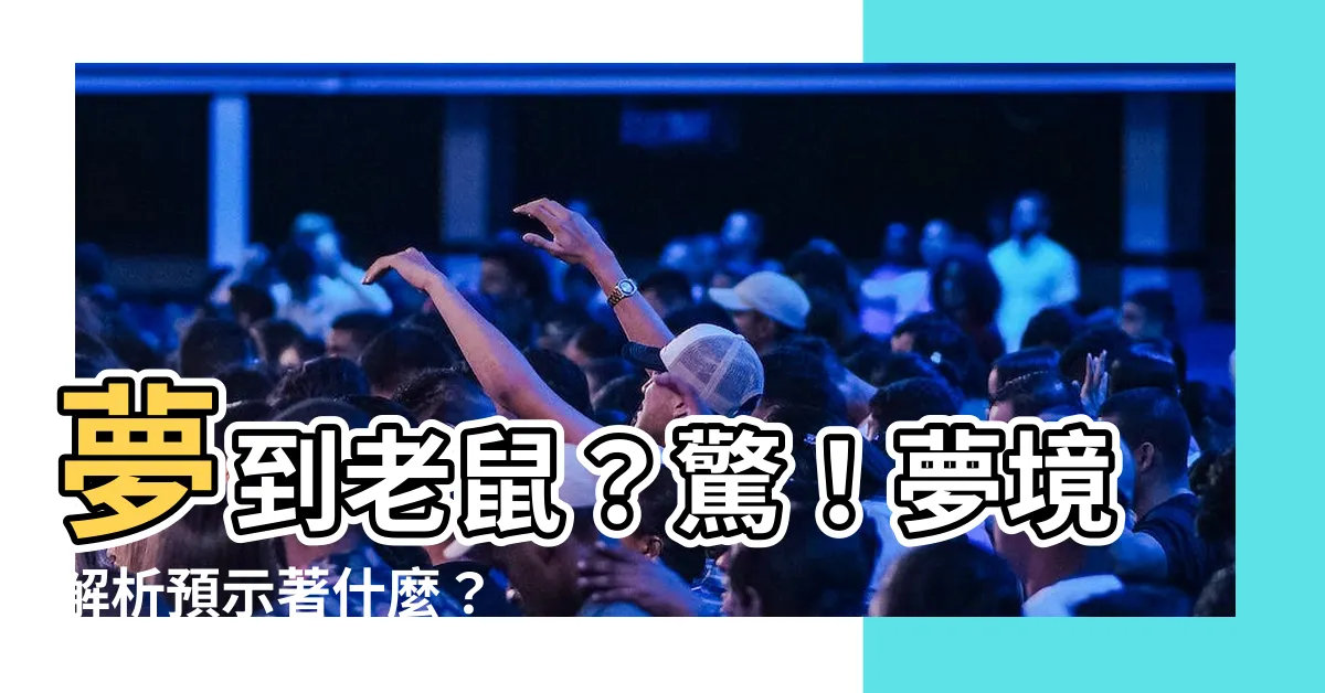 【夢到 老鼠】夢到老鼠？驚！夢境解析預示著什麼？