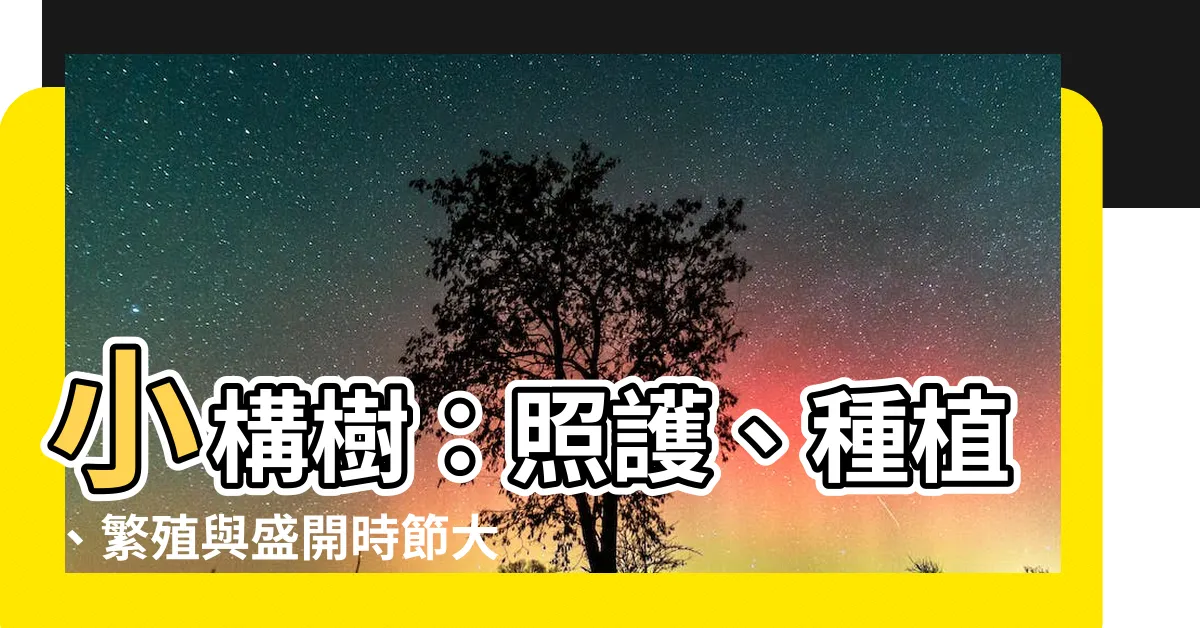 【小構樹】小構樹：照護、種植、繁殖與盛開時節大揭秘！
