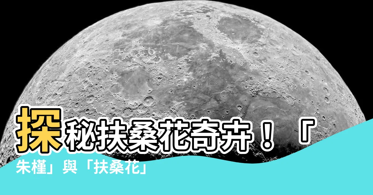 【扶桑花】探秘扶桑花奇卉!「朱槿」與「扶桑花」的神秘關聯