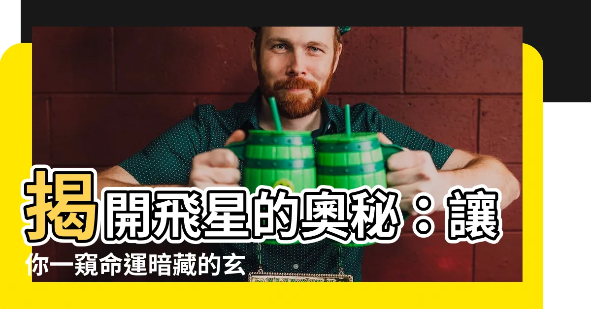 【什麼是飛星】揭開飛星的奧秘:讓你一窺命運暗藏的玄機