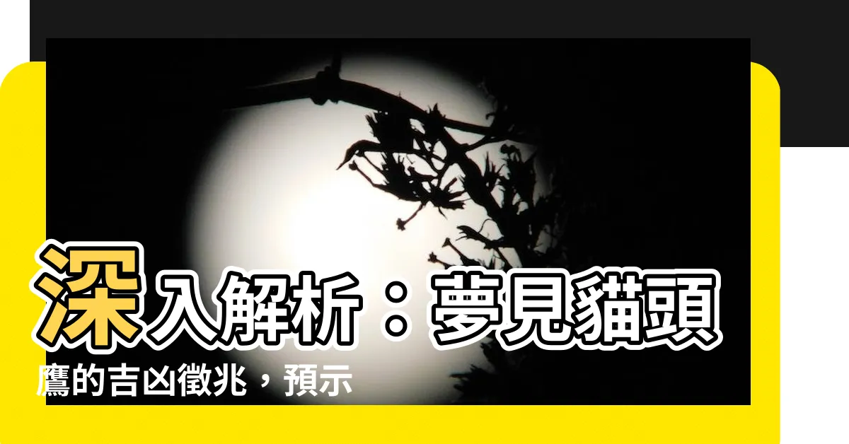【夢見 貓頭鷹】深入解析：夢見貓頭鷹的吉凶徵兆，預示著什麼？