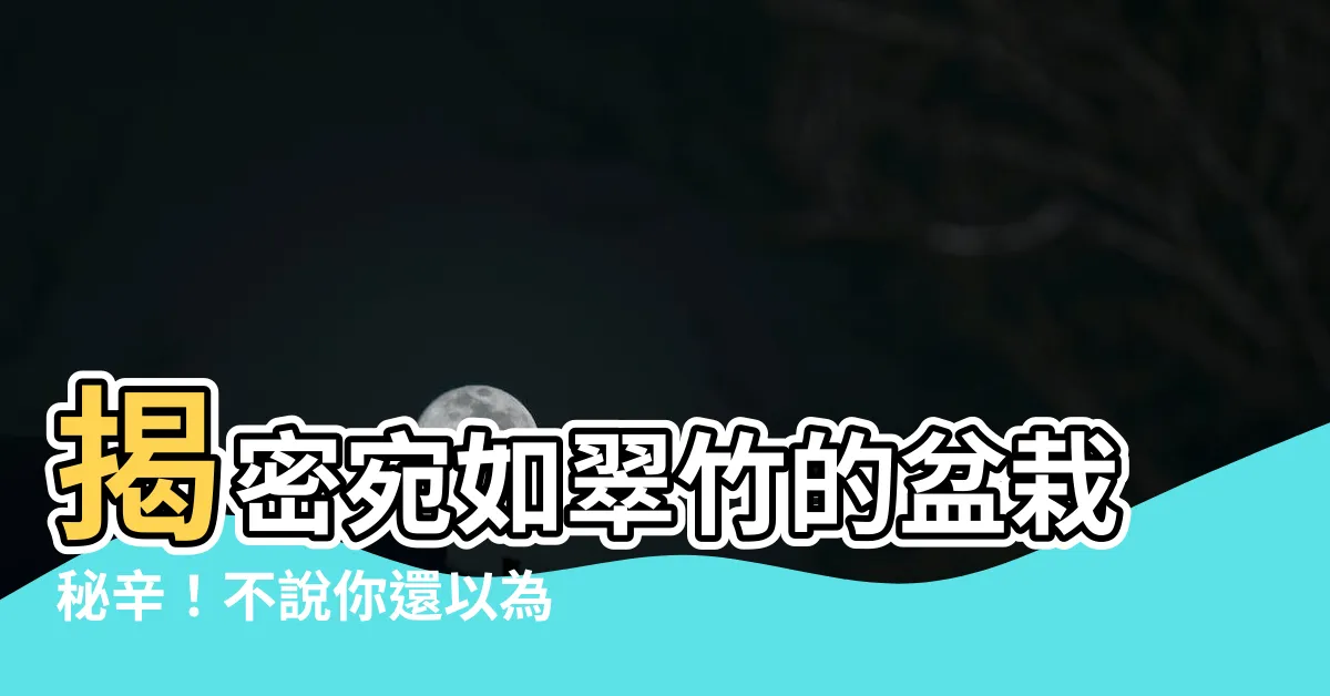 【像竹子的盆栽】揭密宛如翠竹的盆栽秘辛！不説你還以為是竹子呢！
