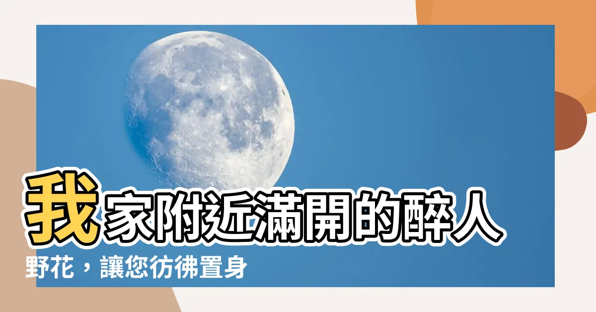 【我家附近的野花】我家附近滿開的醉人野花，讓您彷彿置身於花海之中！