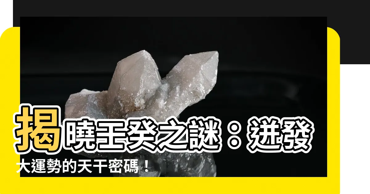 【壬葵】揭曉壬癸之謎：迸發大運勢的天干密碼！