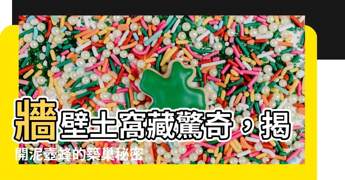 【牆壁土窩】牆壁土窩藏驚奇，揭開泥壺蜂的築巢秘密秘密