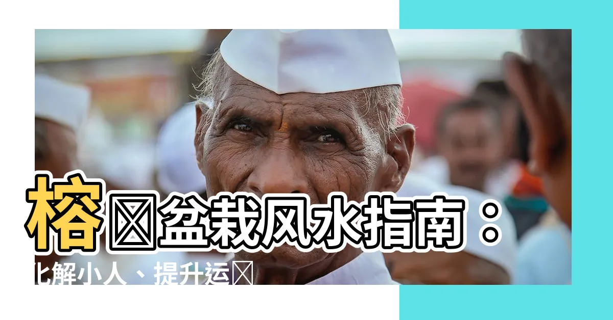 【榕樹盆栽風水】榕樹盆栽風水指南：化解小人、提升運勢的植物秘訣