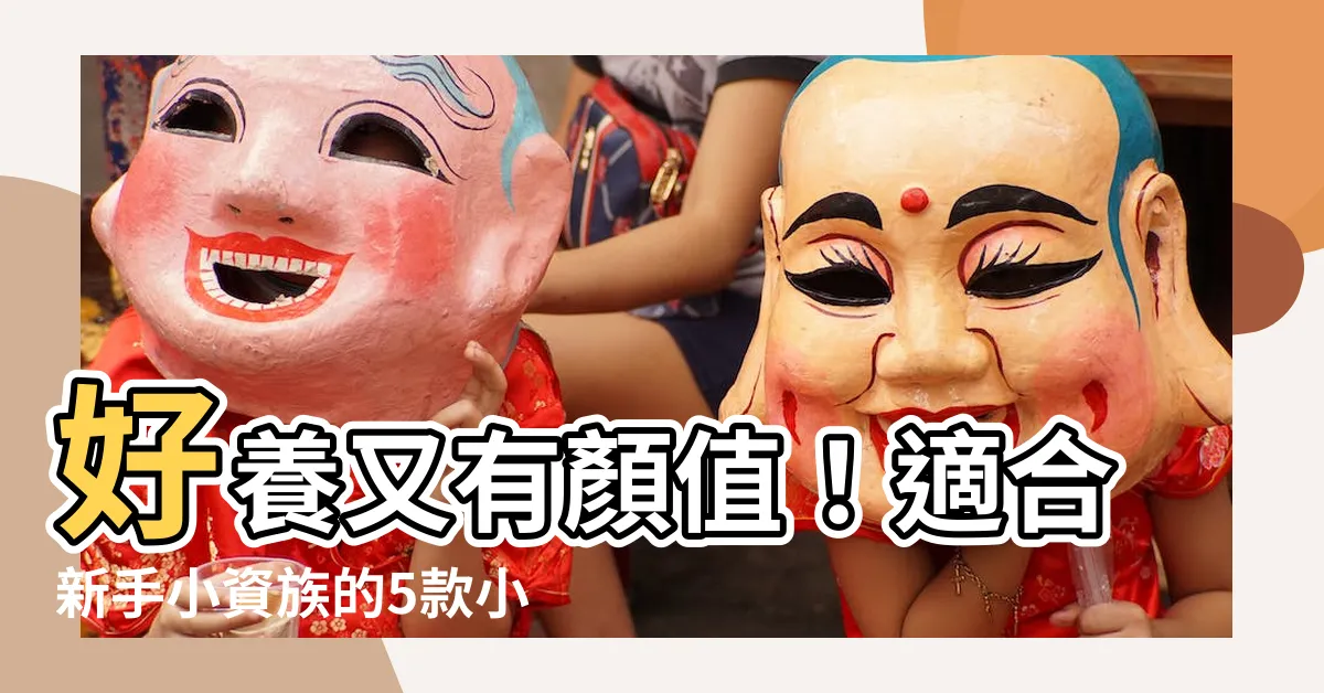 【好養的小型魚】好養又有顏值！適合新手小資族的5款小型熱帶魚推薦