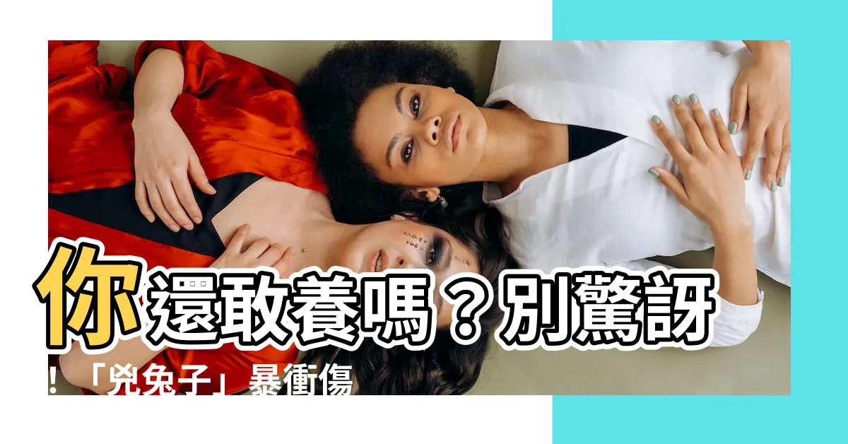 【兇兔子】你還敢養嗎？別驚訝！「兇兔子」暴衝傷人,驚魂記曝光！