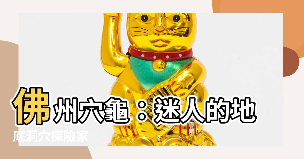 【佛州穴龜】佛州穴龜：迷人的地底洞穴探險家