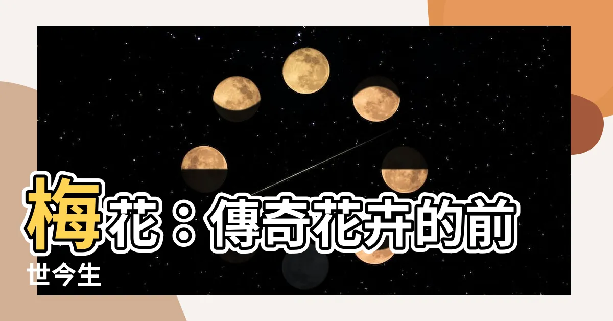 【梅花】梅花:傳奇花卉的前世今生