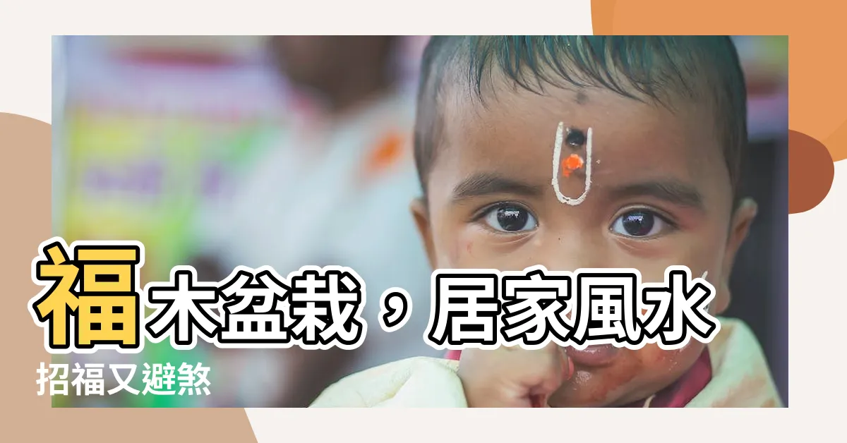【福木盆栽風水】福木盆栽，居家風水招福又避煞