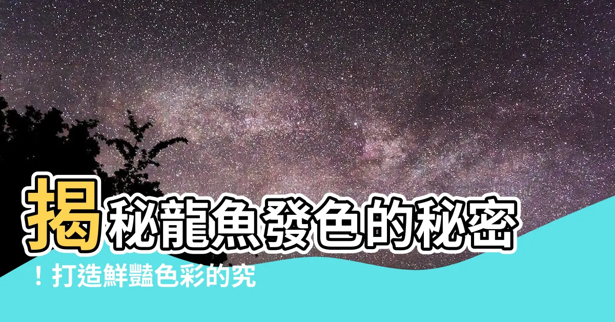 【龍魚魚缸背景】揭秘龍魚發色的秘密！打造鮮豔色彩的究極魚缸背景