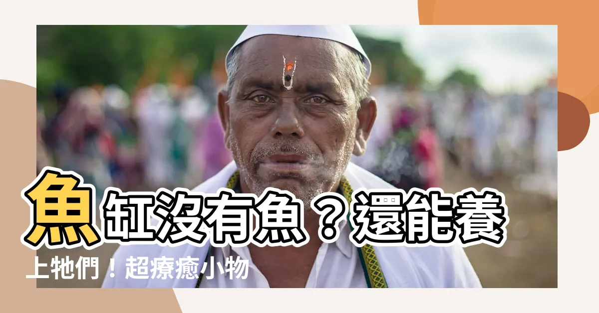【魚缸不養魚可以養什麼】魚缸沒有魚？還能養上牠們！超療癒小物讓魚缸更生動！
