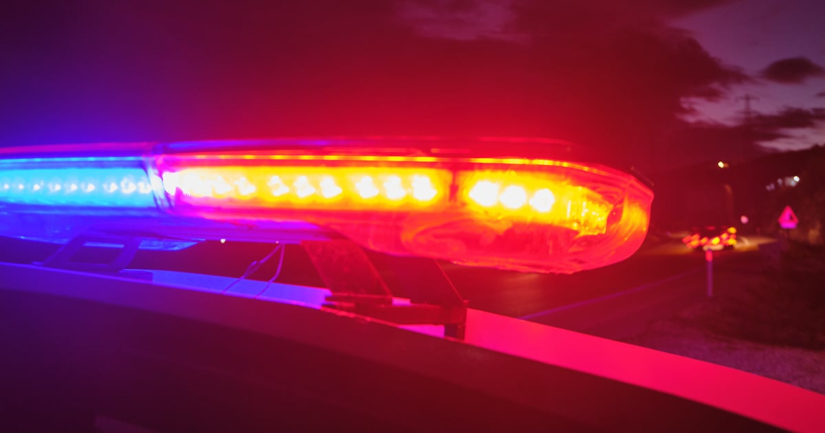 mebane-homeowner-fatally-shoots-1-of-3-home-intruders,-but-succumbs-to-injuries