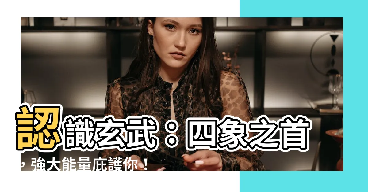 【玄武作用】認識玄武：四象之首，強大能量庇護你！