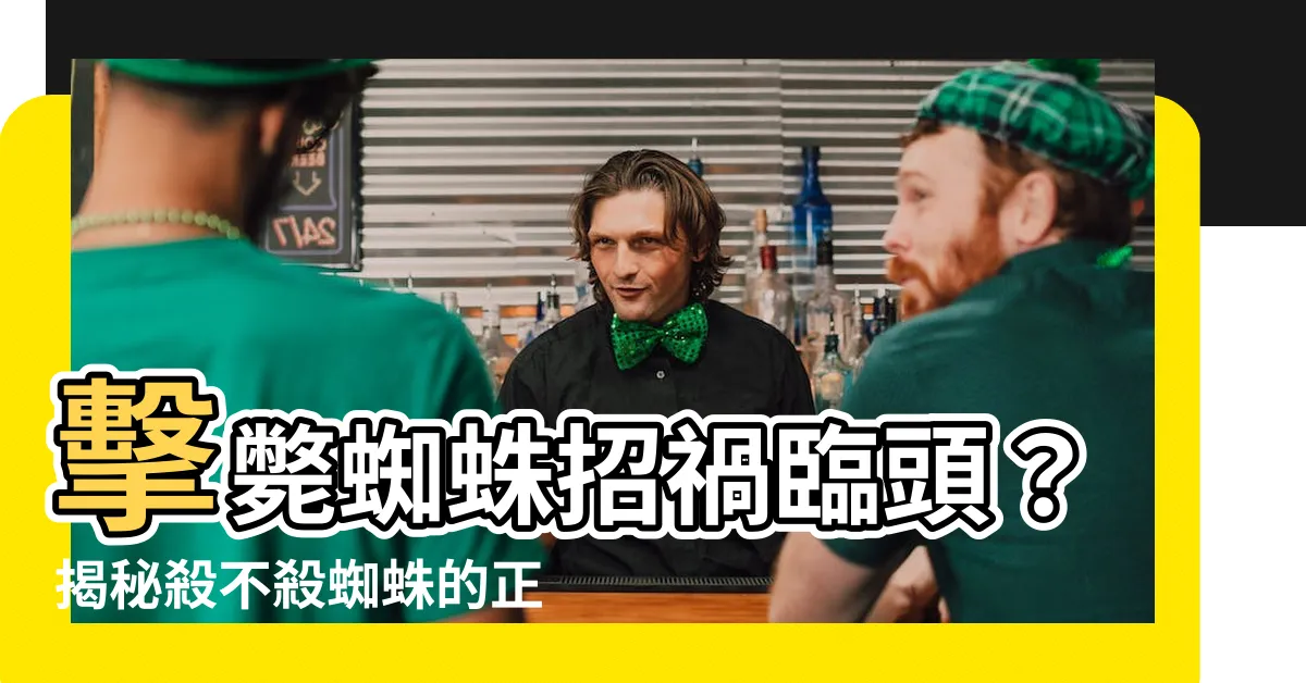 【打死蜘蛛】擊斃蜘蛛招禍臨頭？揭秘殺不殺蜘蛛的正確做法