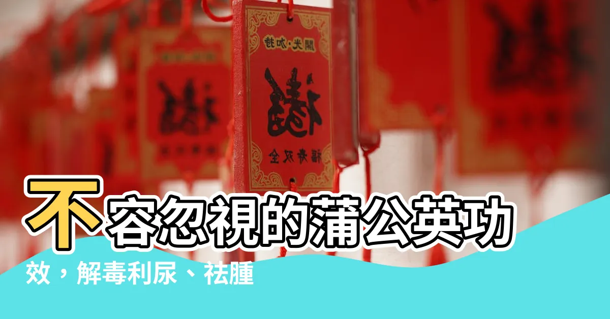 【蒲公英功效】不容忽視的蒲公英功效，解毒利尿、祛腫排結，守護你的健康