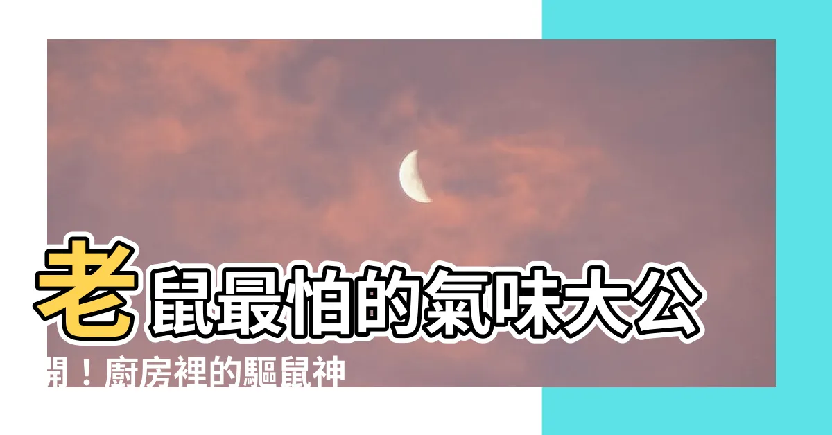 【老鼠怕什麼】老鼠最怕的氣味大公開!廚房裡的驅鼠神物竟然是你...