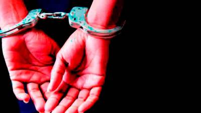 thai-woman-arrested-for-smuggling-chicken-carcasses-from-malaysia