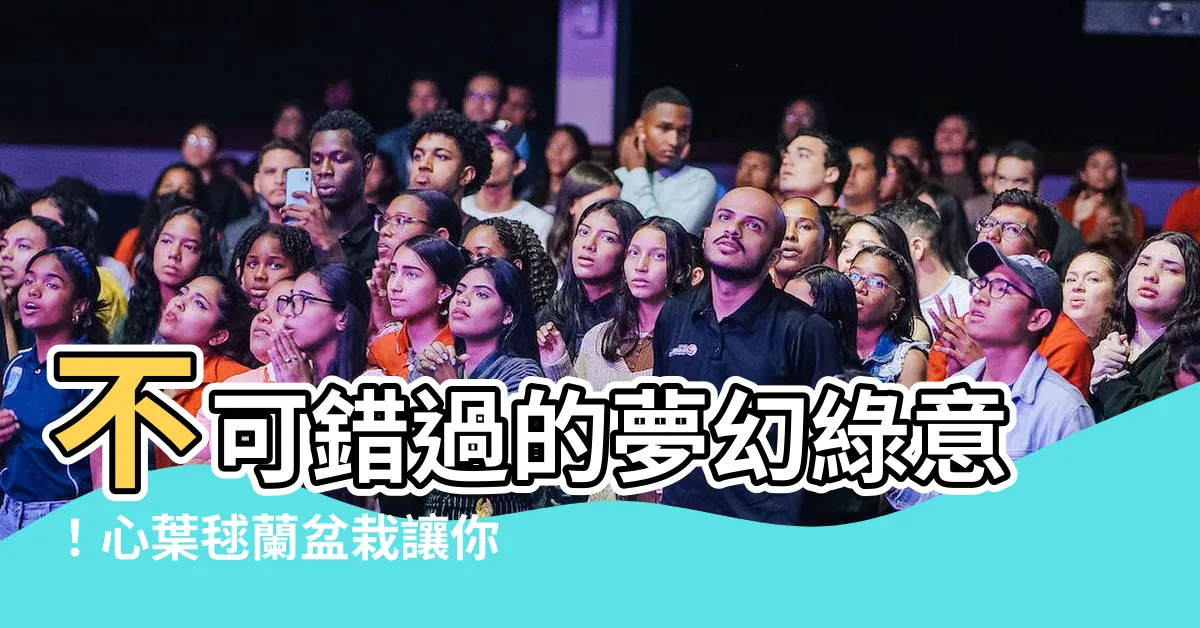 【心葉毬蘭盆栽】不可錯過的夢幻綠意!心葉毬蘭盆栽讓你居家瞬間清新感倍增