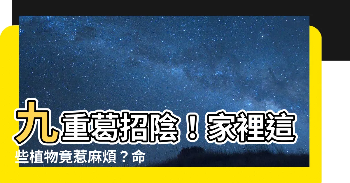 【九重葛招陰】九重葛招陰！家裡這些植物竟惹麻煩？命理師曝5大植栽風水禁忌