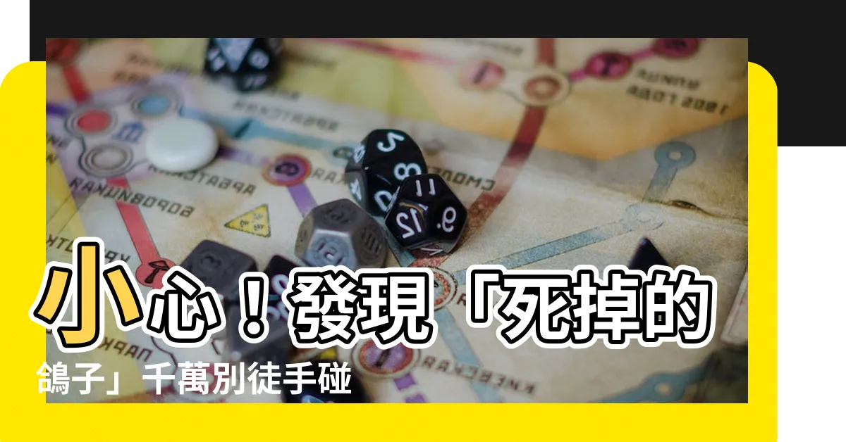 【死掉的鴿子】小心！發現「死掉的鴿子」千萬別徒手碰！防疫專家曝驚人後果