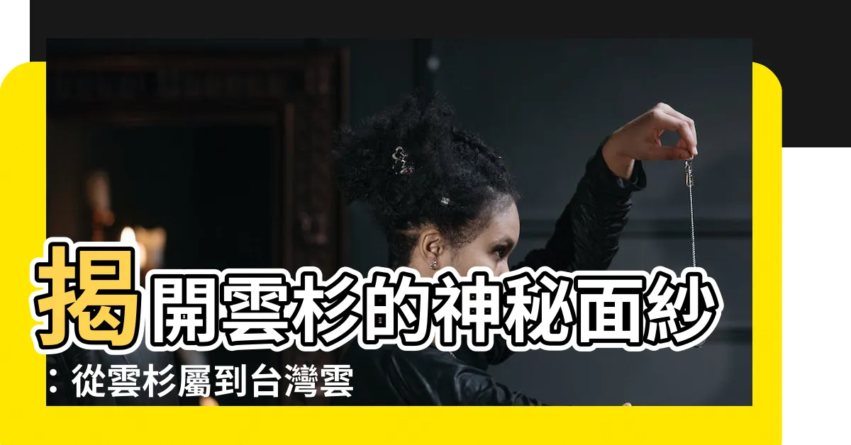 【雲杉】揭開雲杉的神秘面紗：從雲杉屬到台灣雲杉的驚奇之旅