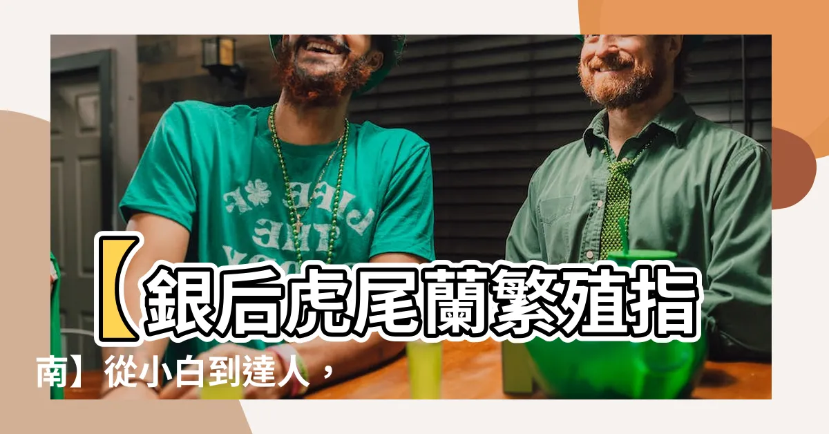 【銀後虎尾蘭繁殖】【銀後虎尾蘭繁殖指南】從小白到達人，輕鬆養出爆棚植株！