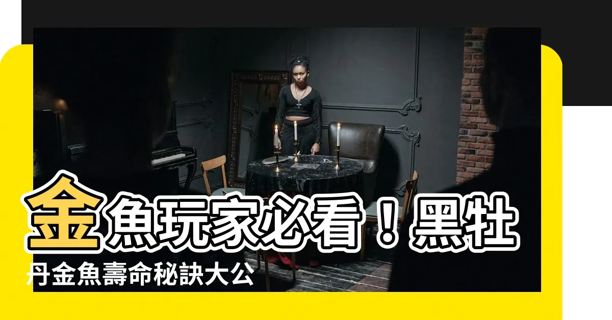 【黑牡丹金魚壽命】金魚玩家必看！黑牡丹金魚壽命秘訣大公開，延長愛寵生命力