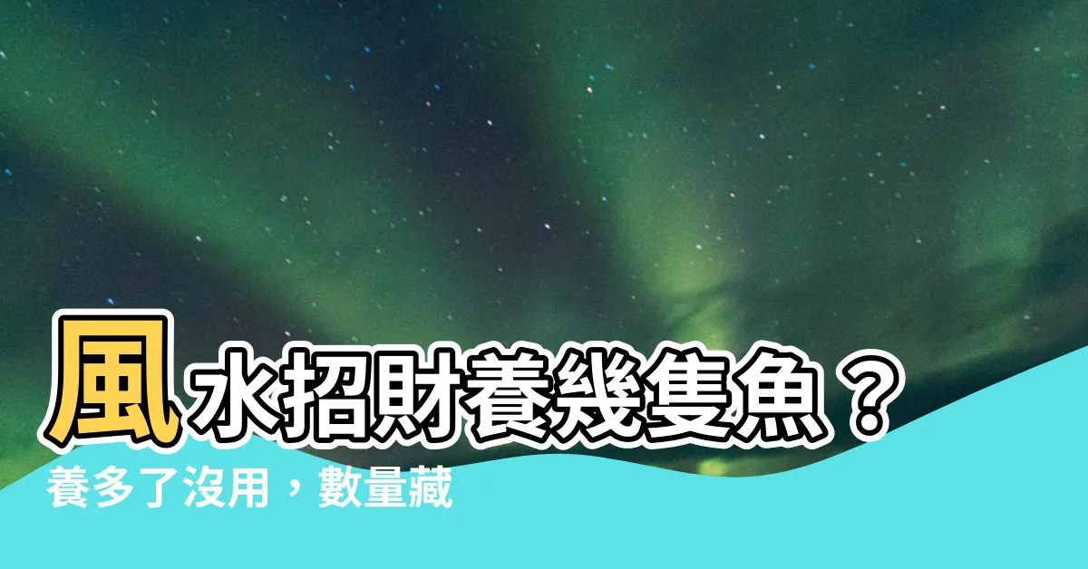 【養幾隻魚比較好】風水招財養幾隻魚？養多了沒用，數量藏玄機「錢滾滾來」