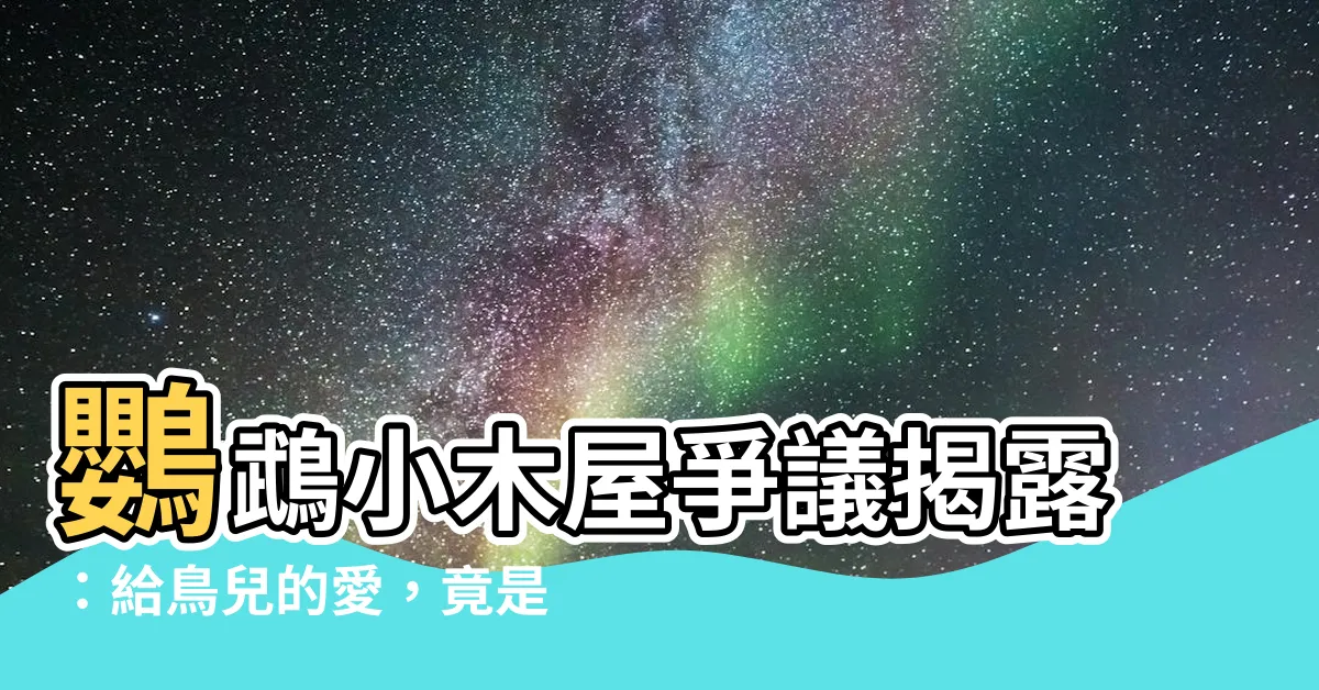 【鸚鵡小木屋 爭議】鸚鵡小木屋爭議揭露：給鳥兒的愛，竟是虐待的謊言？