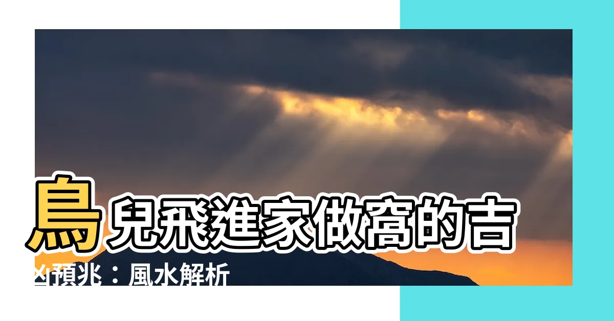 【鳥做窩】鳥兒飛進家做窩的吉凶預兆：風水解析