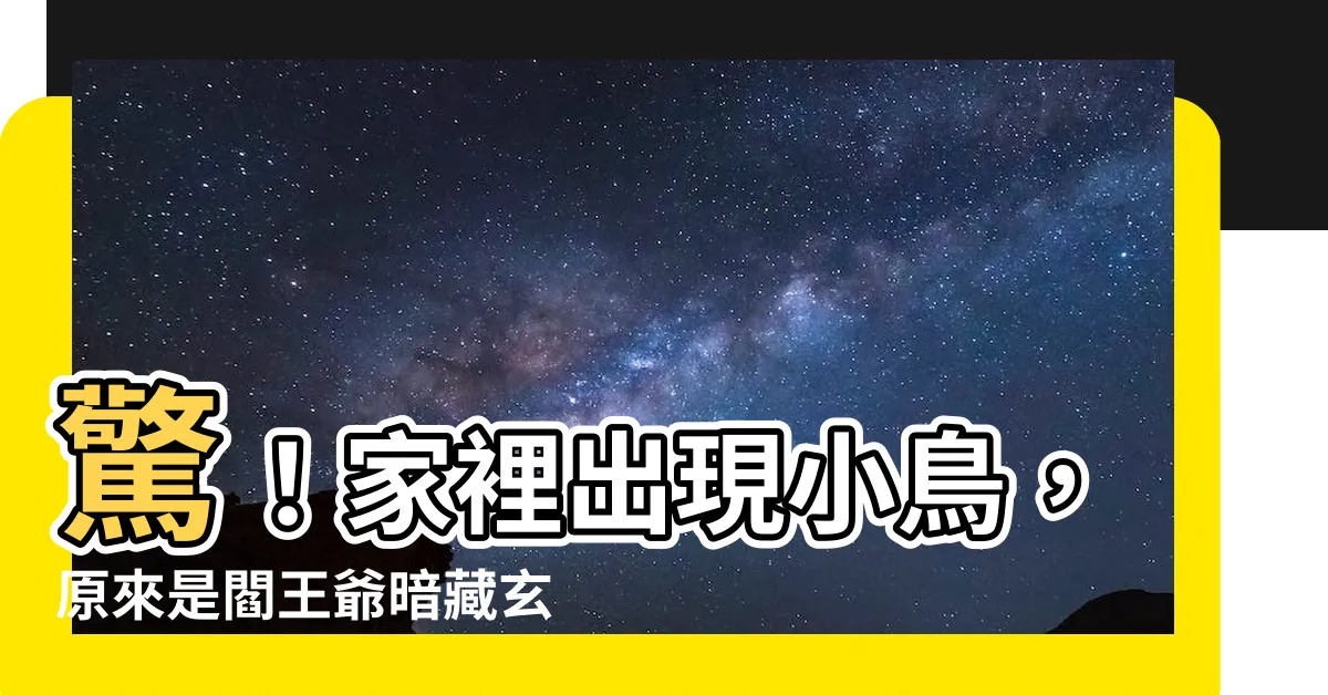 【家裡有小鳥飛進來】驚！家裡出現小鳥，原來是閻王爺暗藏玄機！