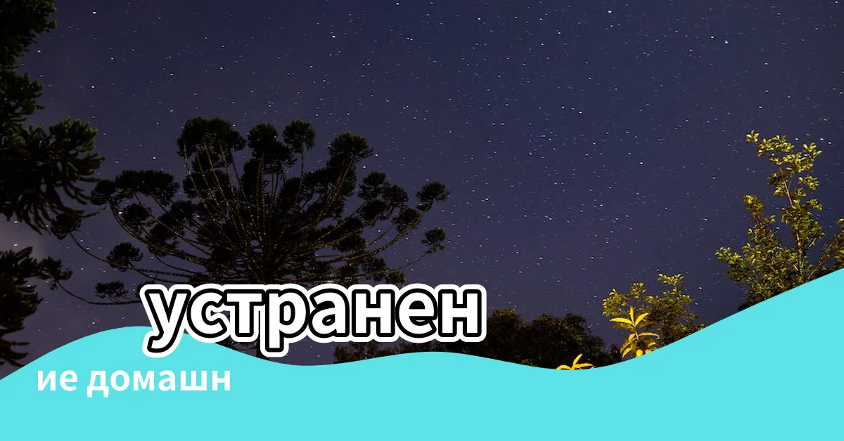 【家居噪音】 устранение домашнего шума