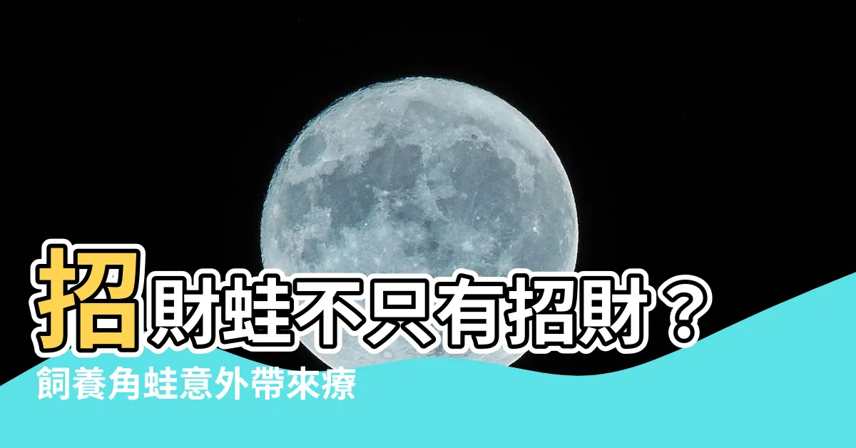 【招財蛙】招財蛙不只有招財？飼養角蛙意外帶來療癒「旺運」！
