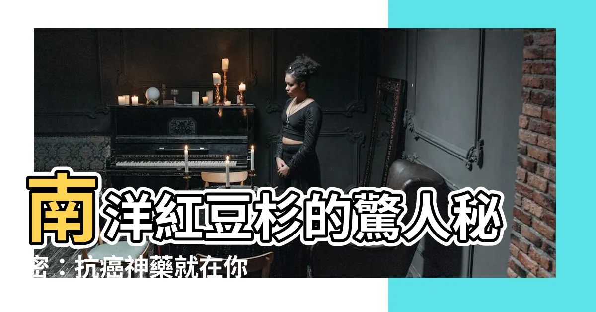 【南洋紅豆杉】南洋紅豆杉的驚人秘密：抗癌神藥就在你身邊！