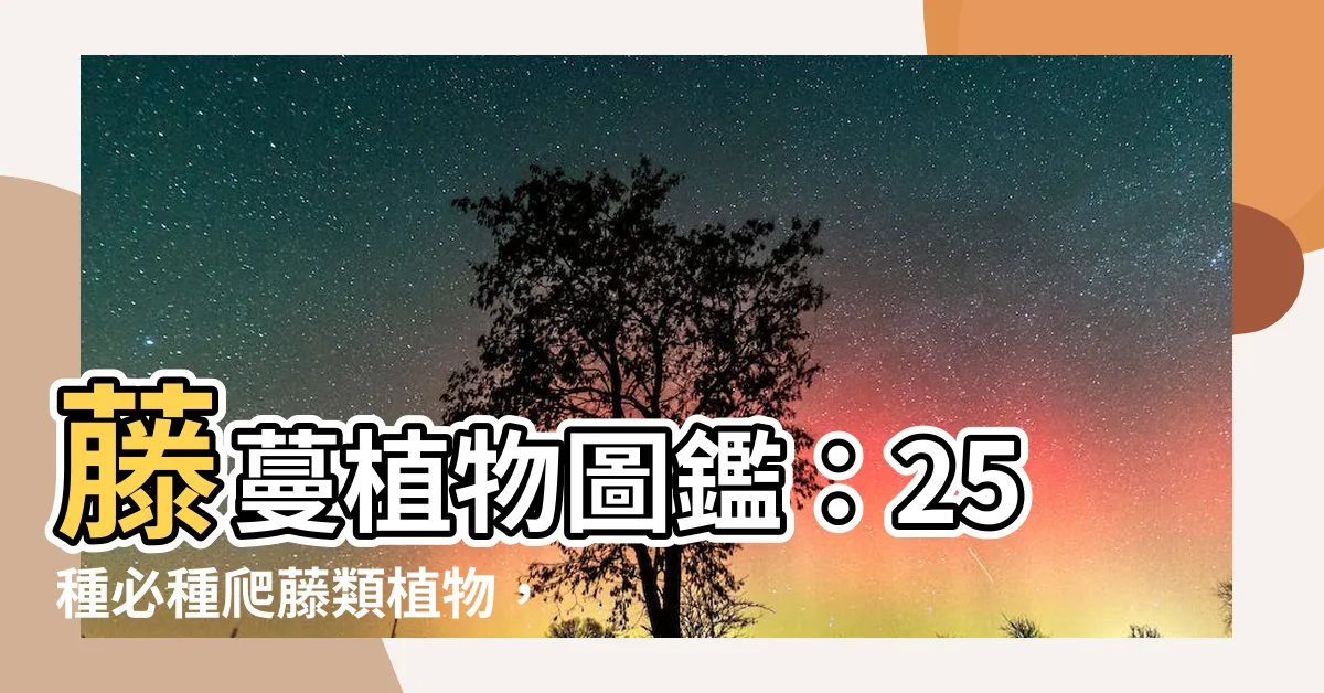 【藤蔓植物爬藤類植物圖鑑】藤蔓植物圖鑑:25種必種爬藤類植物,打造春日秘境花園!