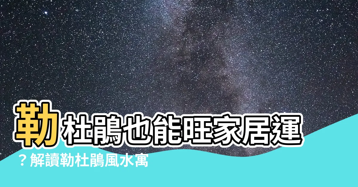 【勒杜鵑風水】勒杜鵑也能旺家居運?解讀勒杜鵑風水寓意與擺放禁忌