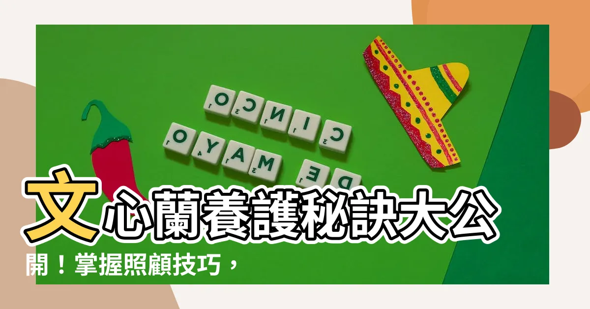 【文心蘭 照顧】文心蘭養護秘訣大公開！掌握照顧技巧，打造美麗花姿！