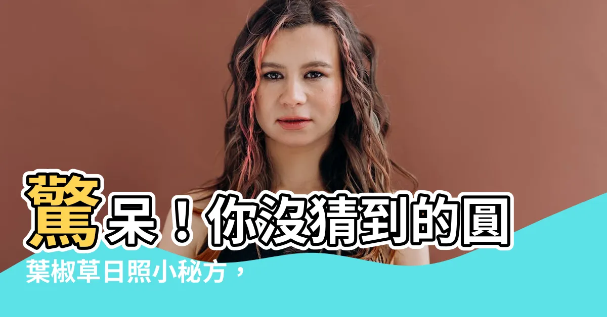 【圓葉椒草日照】驚呆！你沒猜到的圓葉椒草日照小秘方，養出令人羨慕的健康嫩葉！