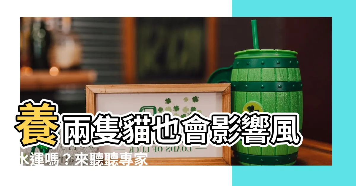 【養兩隻貓風水】養兩隻貓也會影響風水運嗎？來聽聽專家怎麼説！