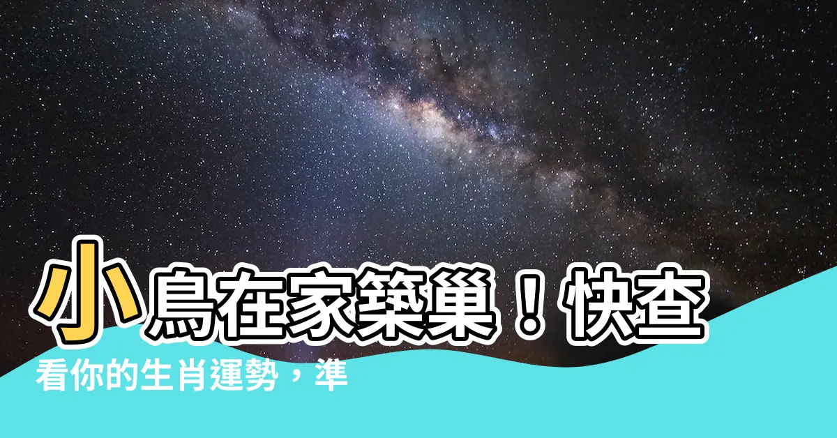 【小鳥在家築巢】小鳥在家築巢！快查看你的生肖運勢，準備迎接好運臨門！