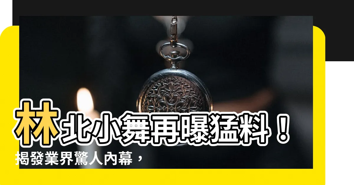 【林北小舞】林北小舞再曝猛料!揭發業界驚人內幕,震驚全網!