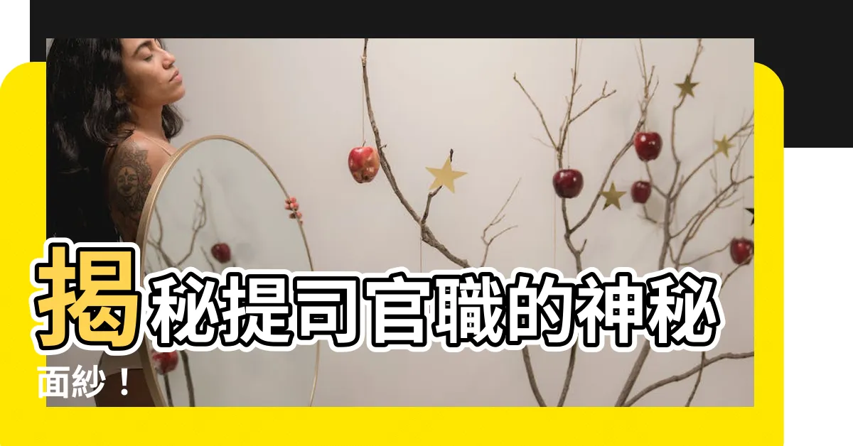 【提司 官職】揭秘提司官職的神秘面紗！