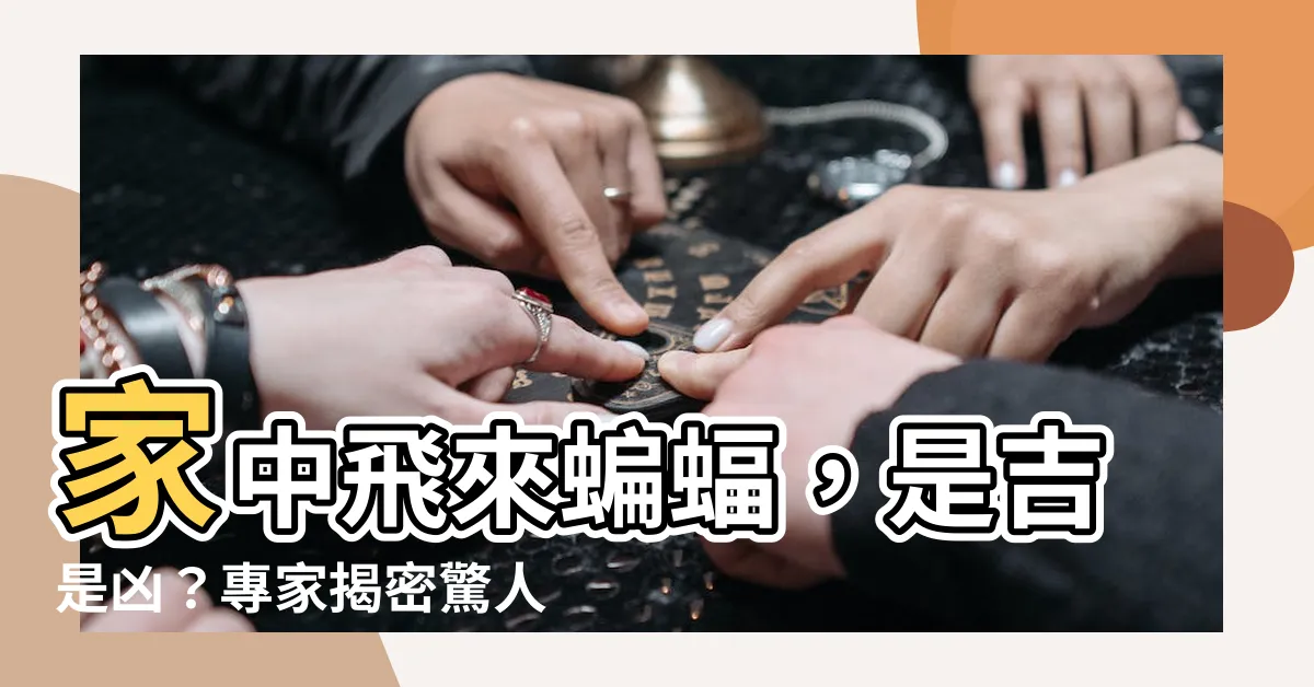 【家中飛來蝙蝠】家中飛來蝙蝠,是吉是兇?專家揭密驚人預兆!